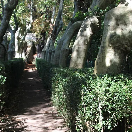 Alojamento de Acomodação e Pequeno-almoço L'ecrin D'osely 3*