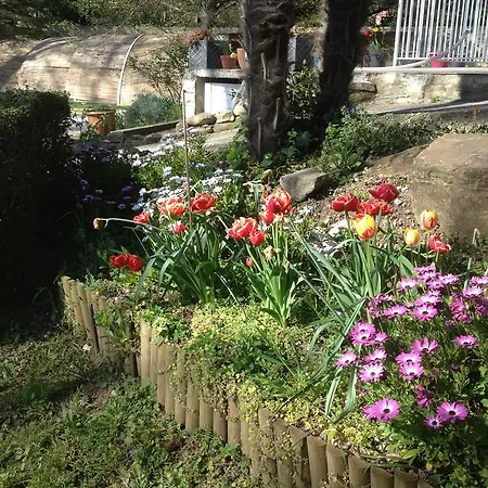 L'ecrin D'osely Lodève